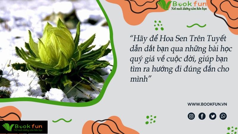 Hoa Sen Trên Tuyết