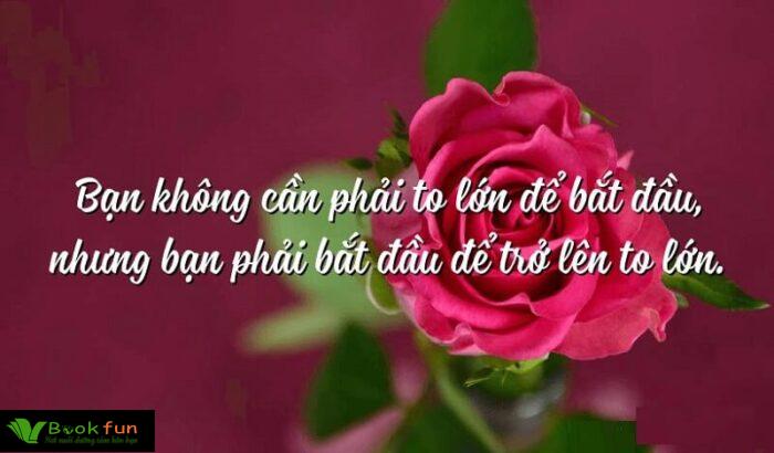 Khám Phá Tổng Hợp 50 Câu Nói Hay Truyền Cảm Hứng Cuộc Sống