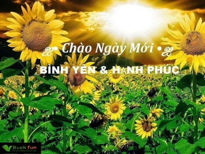 Khám Phá 45 Những Câu Nói Truyền Cảm Hứng Cho Ngày Mới