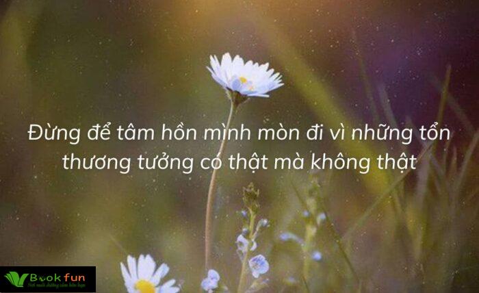 Khám Phá Những Câu Nói Hay Về Vẻ Đẹp Tâm Hồn Tràn Đầy Ý Nghĩa