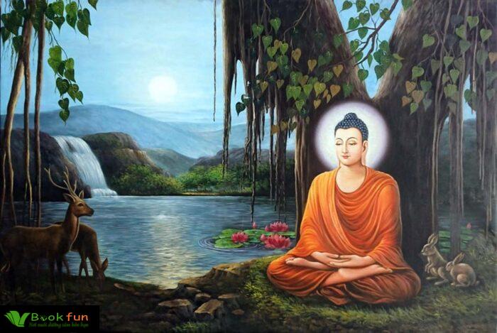 Khám Phá Sâu Sắc Lời Phật Dạy Về Thiền Định Và Tâm Thanh Tịnh