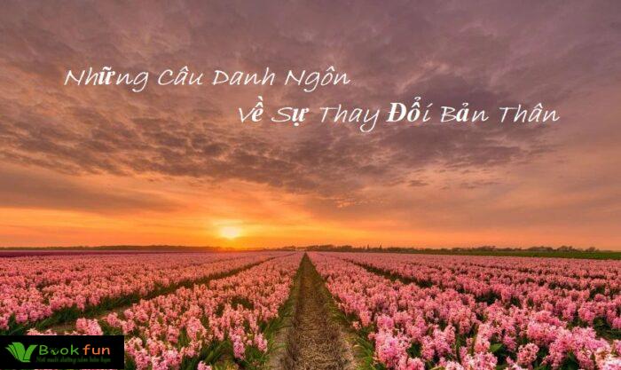 40 Danh Ngôn Về Sự Thay Đổi Bản Thân Giúp Bạn Tìm Lại Chính Mình