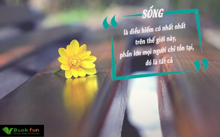 Khám Phá 35 Châm Ngôn Sống Ý Nghĩa Giúp Thay Đổi Cuộc Đời Bạn