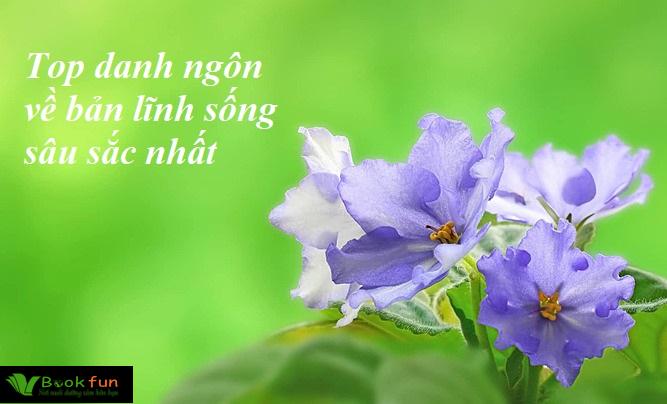 Khám Phá 35 Danh Ngôn Về Bản Lĩnh Sống Giúp Truyền Cảm Hứng Mạnh Mẽ