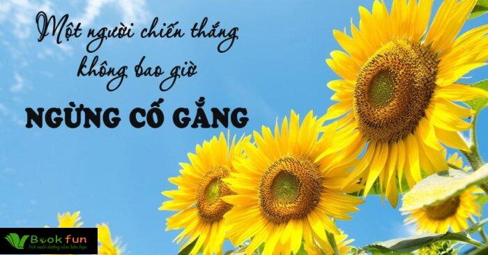 Khám phá 40 danh ngôn về sự nỗ lực - Động lực không ngừng nghỉ